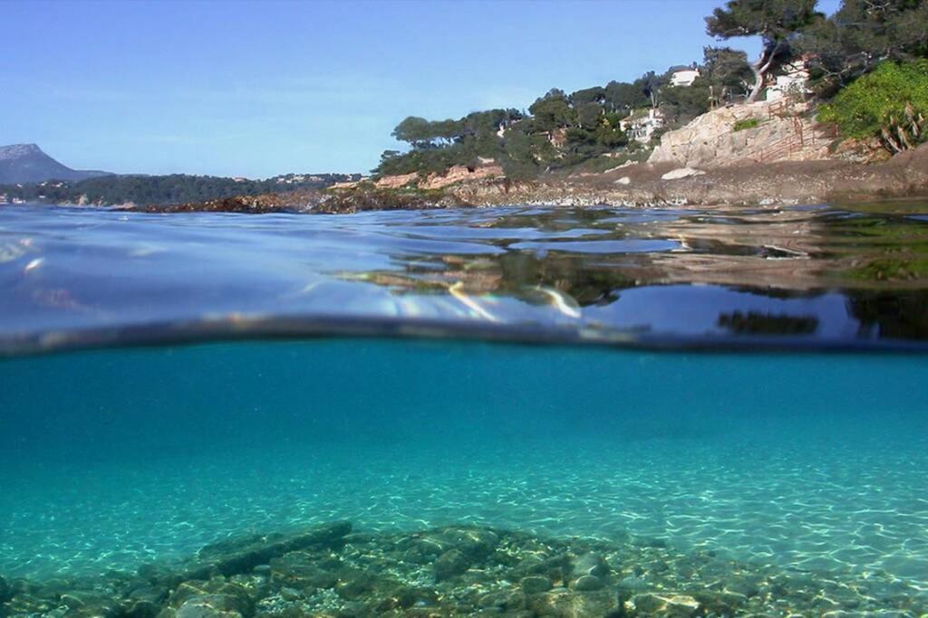 Appartamento Superbe T2 lumineux 3*** 10 mn à pied de la plage Le Pradet Esterno foto